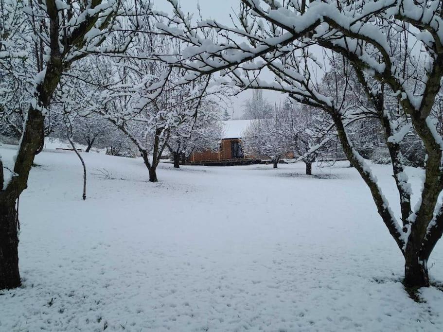 Nica Wood Vila Sremska Kamenica Exterior foto