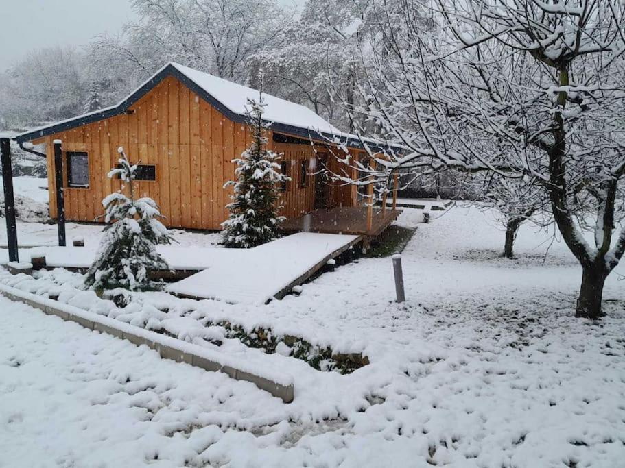 Nica Wood Vila Sremska Kamenica Exterior foto