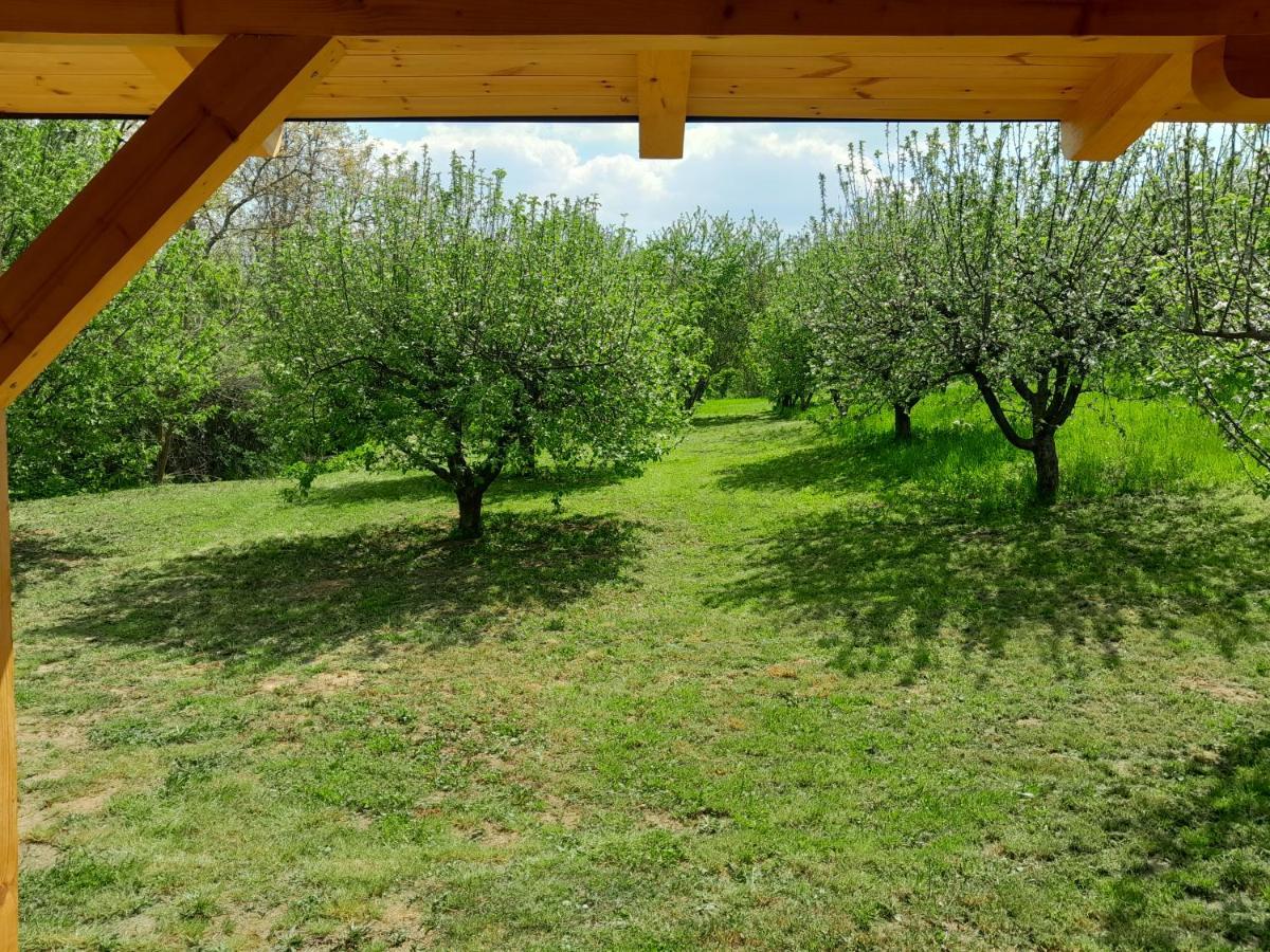 Nica Wood Vila Sremska Kamenica Exterior foto