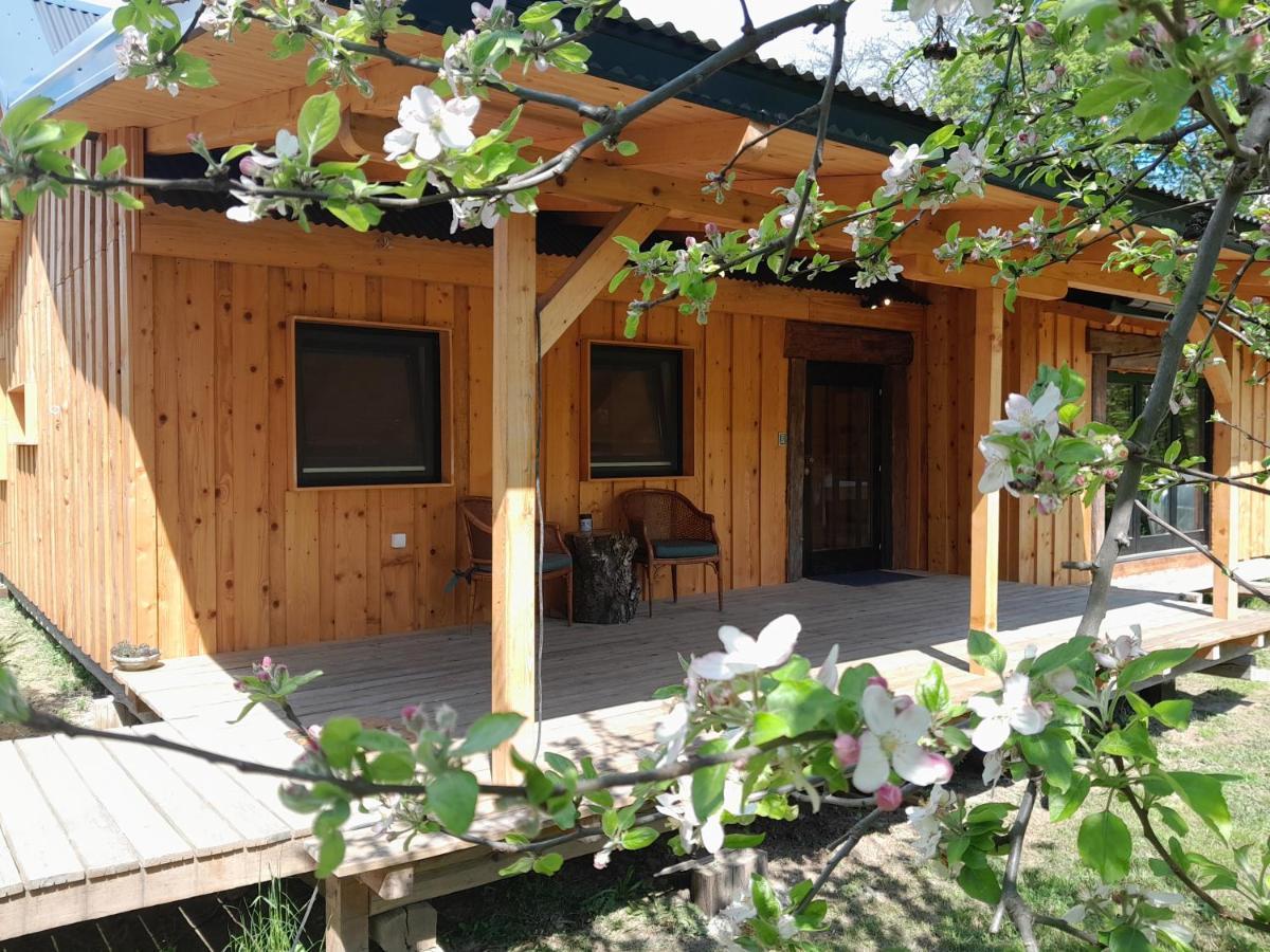 Nica Wood Vila Sremska Kamenica Exterior foto