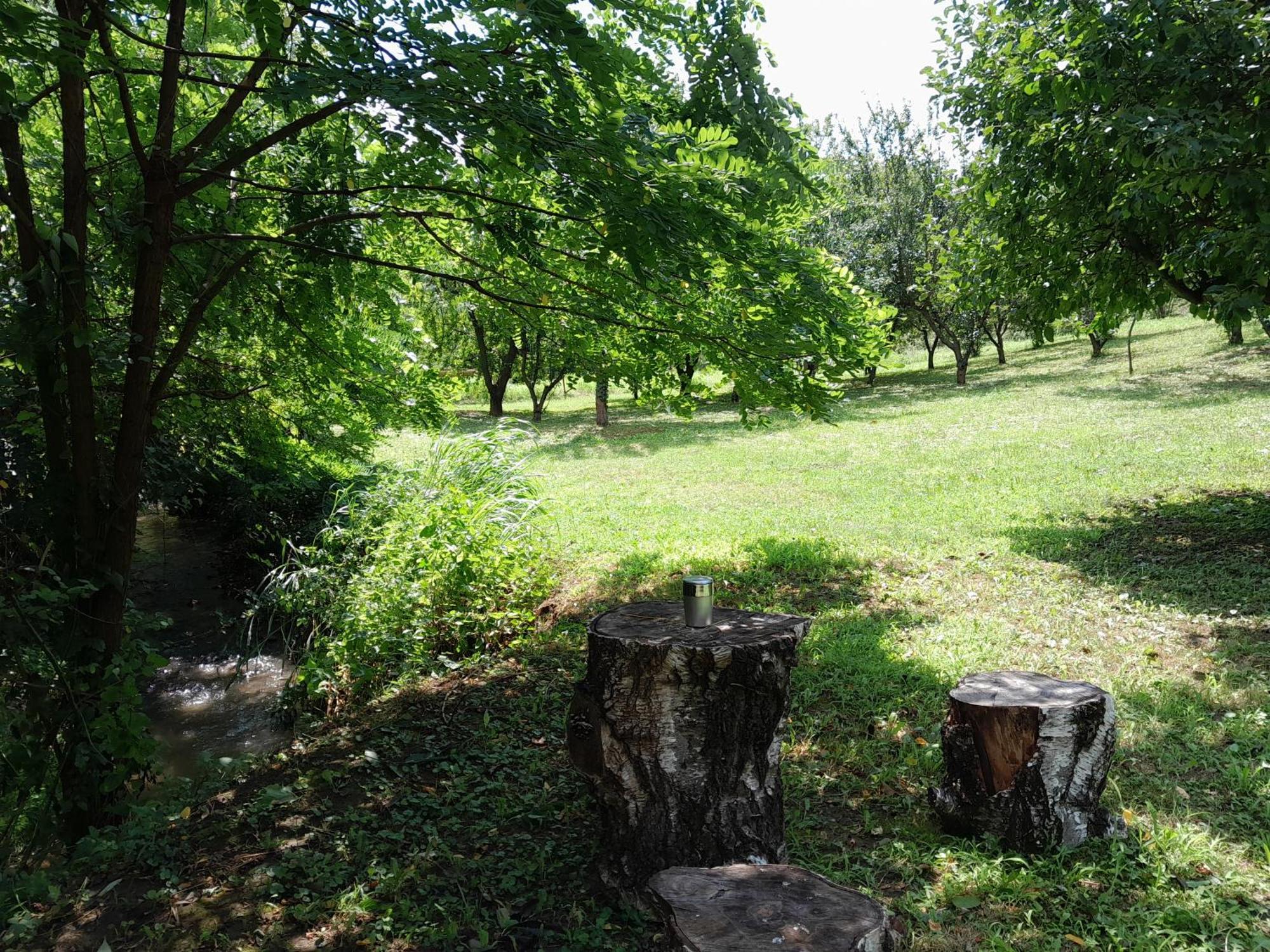 Nica Wood Vila Sremska Kamenica Exterior foto