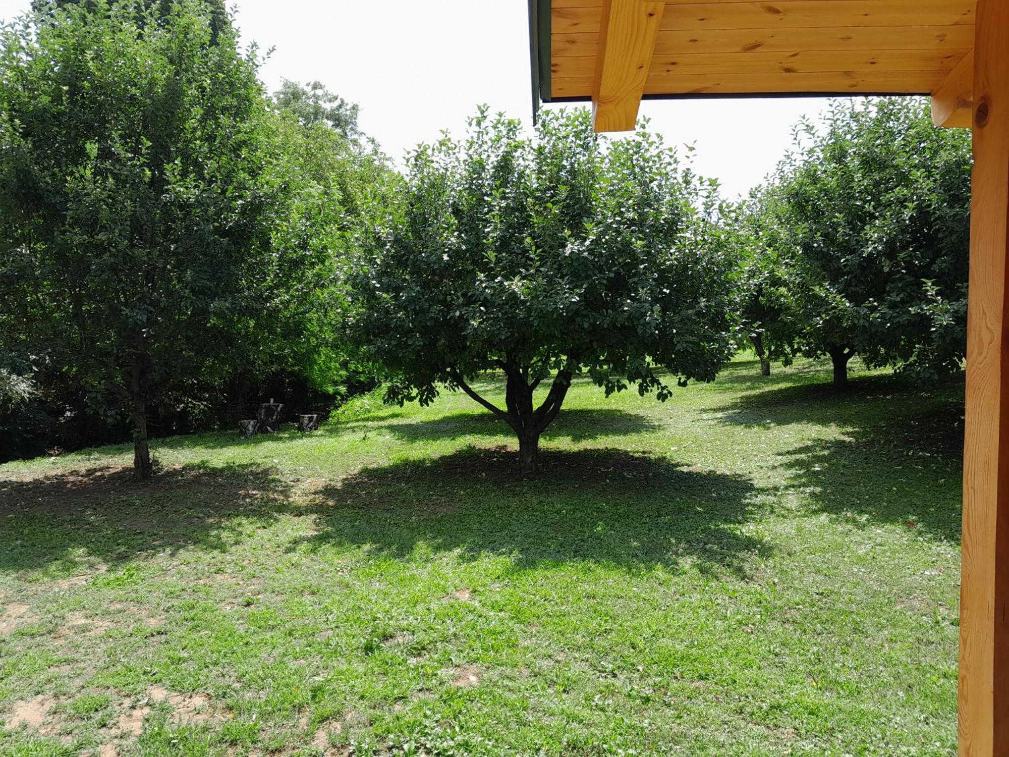Nica Wood Vila Sremska Kamenica Exterior foto