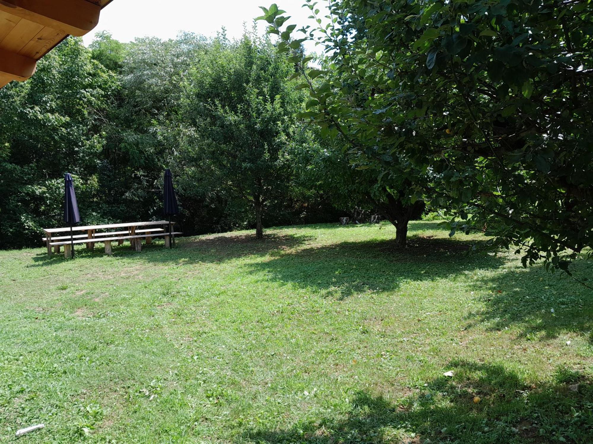 Nica Wood Vila Sremska Kamenica Exterior foto