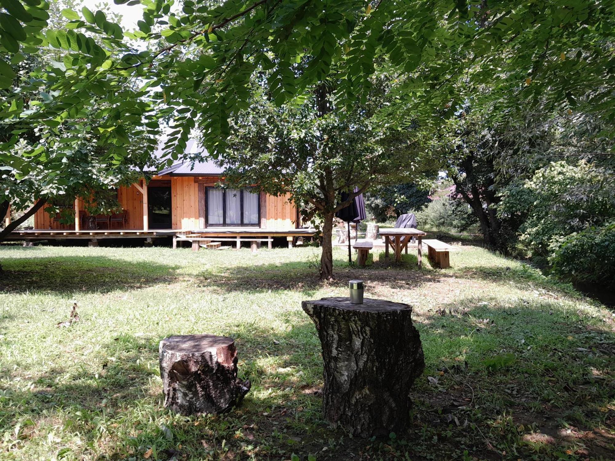 Nica Wood Vila Sremska Kamenica Exterior foto
